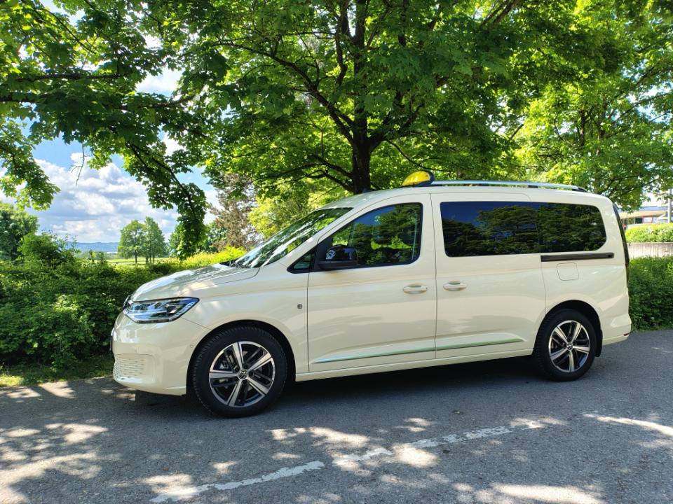 Weißes Auto in der Natur